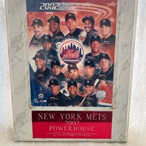 New York Mets 2002 Team Poster - Red & Blue